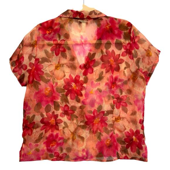 Sheer Chiffon Floral Button Top Collared 20W Garden Fairy Bloomcore Ethereal VTG - Picture 12 of 13